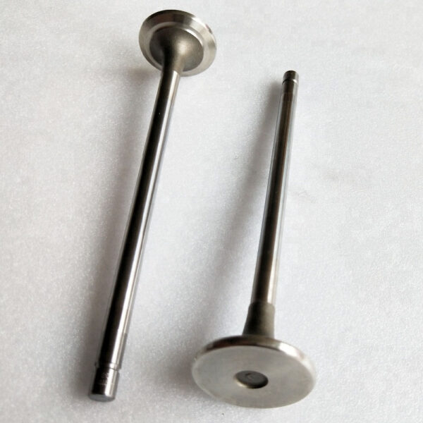 NT855 Exhaust Valve 145701 3040830