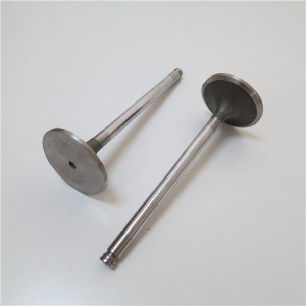 6C 6CTA 6CT 6CT8.3 diesel engine parts exhaust valve 3921444 intake valve 3924492