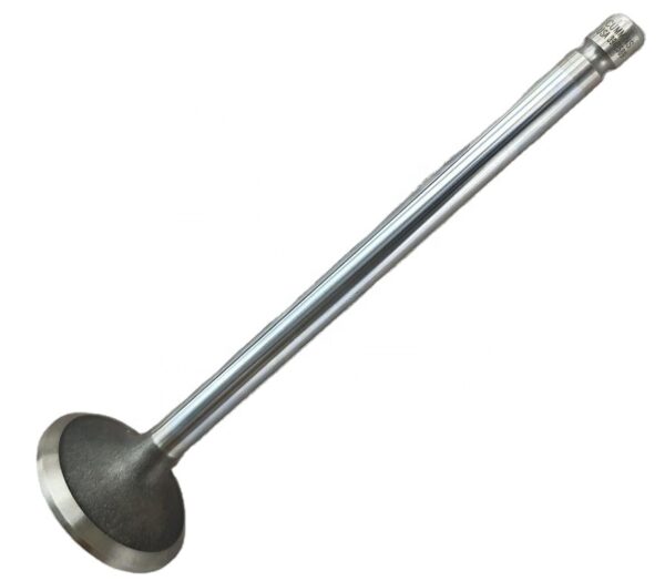 ISLE Engine Exhaust Intake Valve  4981795 3969637