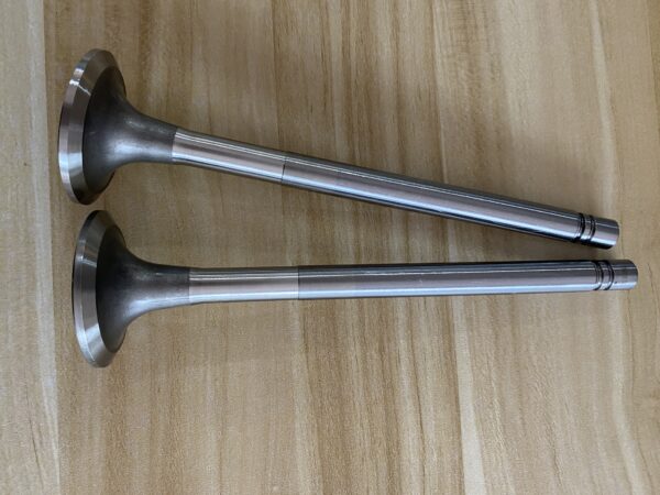 NT855 Exhaust Valve 145701 3040830 - 图片 2