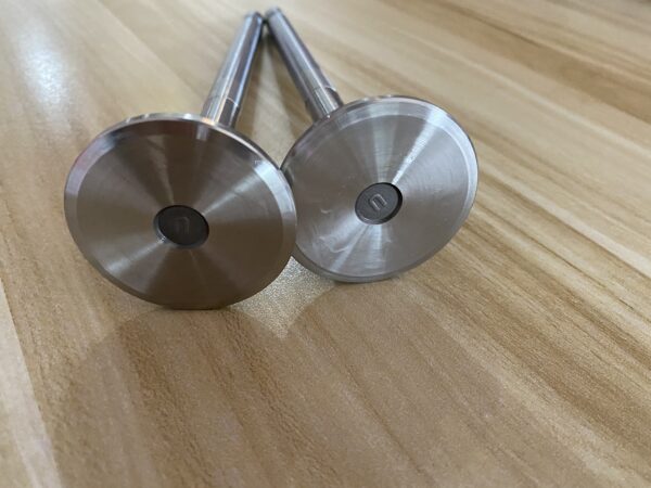 NT855 Exhaust Valve 145701 3040830 - 图片 4